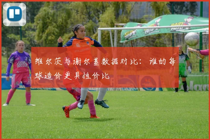维尔茨与谢尔基数据对比：谁的每球造价更具性价比